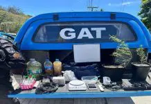 Polícia prende homem com drogas e plantas de Cannabis em Arraial