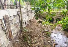 PM identifica obra irregular em área ambiental em Paraty