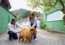 Vacinação antirrábica em Petrópolis já imunizou 17 mil animais