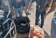Vigilância Sanitária fiscaliza mercados e recolhe alimentos vencidos em Saquarema