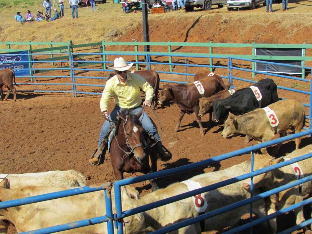 Sorting In Rodeo Ranch Sorting com inscrições abertas até dia 13 de setembro | N1