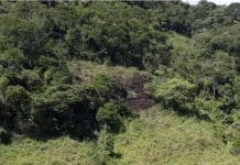 Varre-Sai preserva 177 hectares de Mata Atlântica com nova área