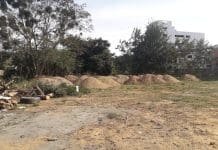 Linha Verde denuncia crime ambiental em Cardoso Moreira