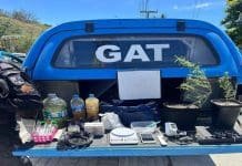 Polícia prende homem com drogas e plantas de Cannabis em Arraial
