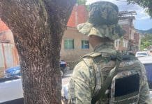 PM investiga envenenamento de árvores em Bom Jesus do Itabapoana
