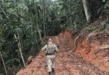 Denúncia revela crime ambiental em área de Paraty