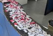 Polícia prende duas mulheres com drogas em Angra dos Reis