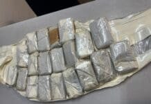 PRF apreende 2 kg de haxixe na Dutra durante fiscalização em Piraí