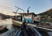 PF prende quatro por pesca ilegal e apreende 350 kg em Itaguaí
