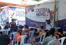 Nova Iguaçu abre 260 vagas para castração gratuita de cães e gatos