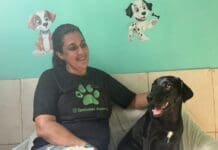 Nova Iguaçu registra devolução de 9% dos pets adotados em 2026