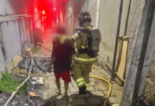 Incêndio deixa 11 cães mortos e duas pessoas feridas em Volta Redonda