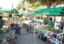 São João da Barra tem vagas para produtores na Feira da Roça