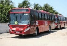 São João da Barra recebe dois novos ônibus para transporte gratuito