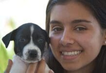 Maricá realiza campanha itinerante de adoção de cães e gatos no Centro