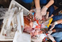 Fiscalização recolhe 342 kg de alimentos impróprios em Saquarema