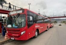 Maricá coloca cinco novos ônibus em circulação no Tarifa Zero