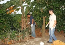 Búzios reforça prevenção contra dengue durante período de chuvas