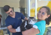 Campanha antirrábica imuniza 3.572 animais em Búzios