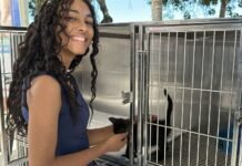 Rio das Ostras leva castração e atendimento veterinário a Rocha Leão