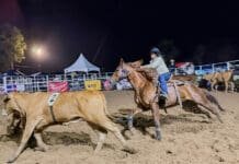 São Francisco encerra inscrições para Ranch Sorting nesta quarta (15)