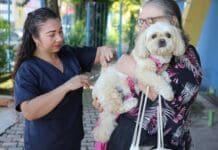 Volta Redonda vacina 17,5 mil cães e gatos contra a raiva