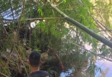 PF encontra três balsas usadas em garimpo ilegal no Rio Muriaé