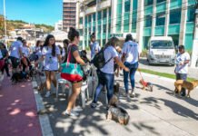 Cãominhada reúne tutores e pets em Macaé neste sábado (3)