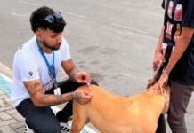 Duque de Caxias vacina cães e gatos contra raiva em três locais