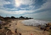 Estudo de R$ 5,6 milhões busca conter avanço do mar em Atafona