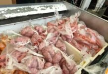 Cabo Frio descarta 60 kg de alimentos vencidos em supermercado