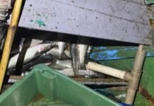 Homem foge a nado durante fiscalização de pesca ilegal em Araruama