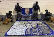 Cão farejador ajuda PM a apreender 17 kg de drogas em Volta Redonda