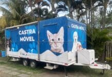 Campos abre inscrições para castração de cães e gatos em oito bairros