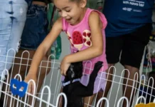 Cabo Frio promove feira de adoção de cães e gatos neste sábado (24)