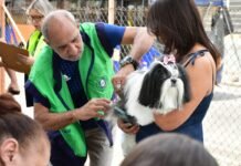 Nova Iguaçu terá 46 pontos de vacinação antirrábica neste sábado (17)