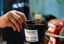 Barra Mansa amplia monitoramento do Aedes com novas armadilhas
