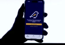 App Pardal recebe mais de 51 mil denúncias de propaganda eleitoral irregular