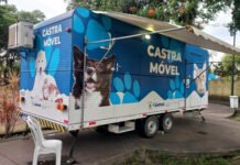 Campos abre cadastro para castração de cães e gatos de 16 localidades
